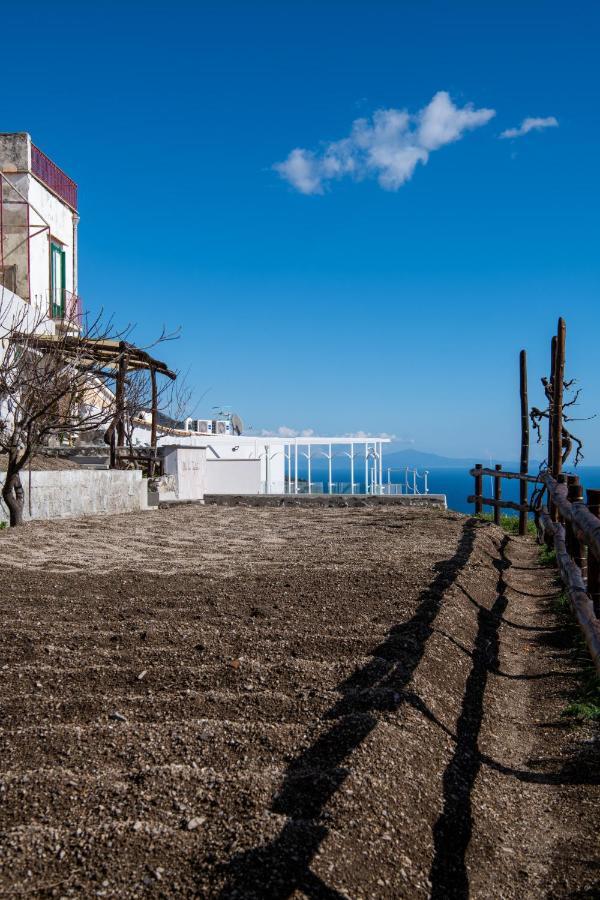Villa La Tagliata Spectacular Jacuzzi Tub Amazing View And Private Parking Garage Positano Extérieur photo